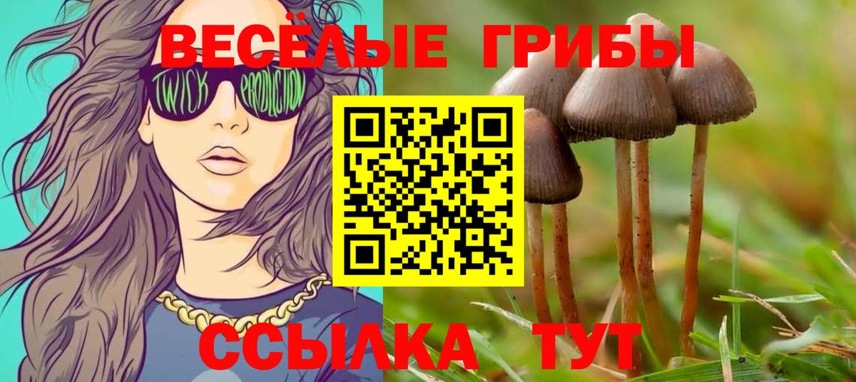 Лабытнанги  Галлюциногенные грибы Psilocybe  Вход с VPN 